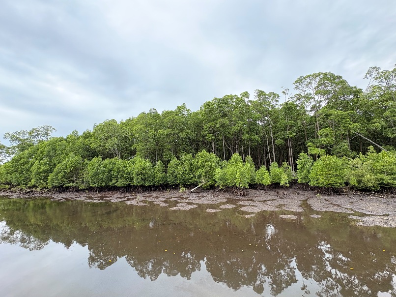 Bupati Kutim: Wisata Pantai Teluk Lingga Tak Boleh Korbankan Hutan Mangrove 