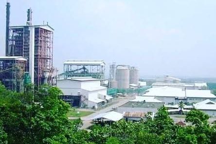 PT KN Banyak Diminati Para Pencari Kerja, Disnakertrans Berau: Tenaga Kerja Lokal Berpeluang Besar