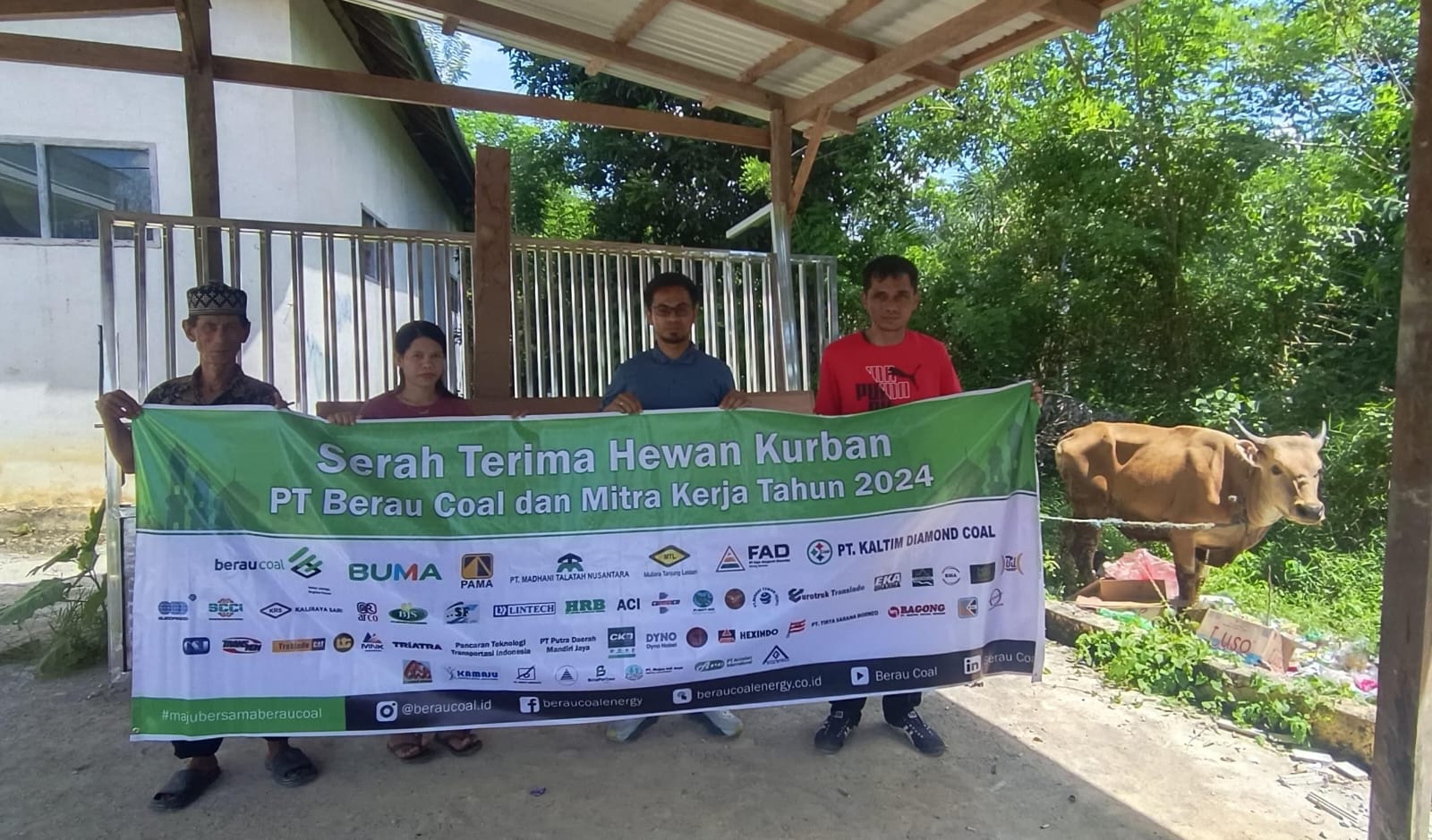 Berbagi Kebahagiaan bersama Masyarakat, PT Berau Coal dan Mitra Kerja Bagikan 232 Ekor Hewan Kurban