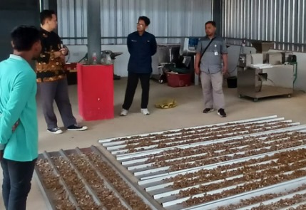 Pemdes Jonggon Jaya Bangun Rumah Produksi Bersama (RPB), Petani Jahe Kian Semangat 