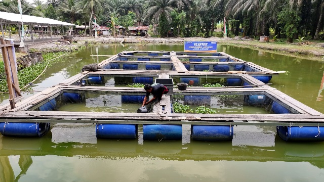 Terus Bergeliat, Pemberdayaan BRI Angkat Perekonomian Desa Empang Baru 