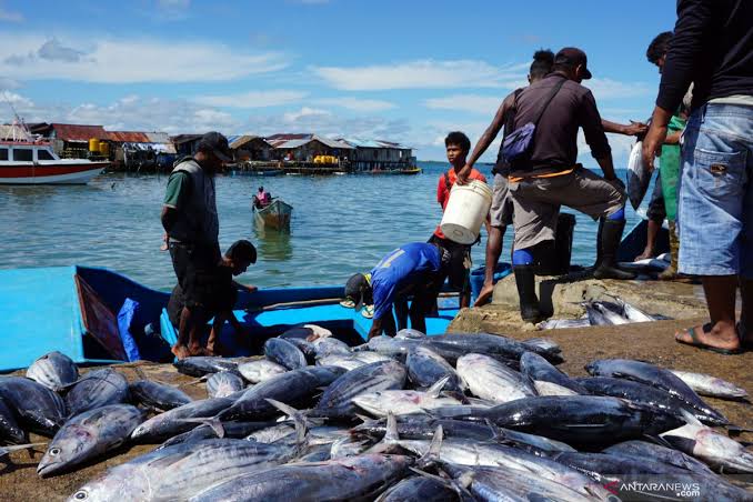 Hasil Produksi Perikanan Kabupaten Berau Meningkat 2 Ribu Ton Pada Tahun 2023