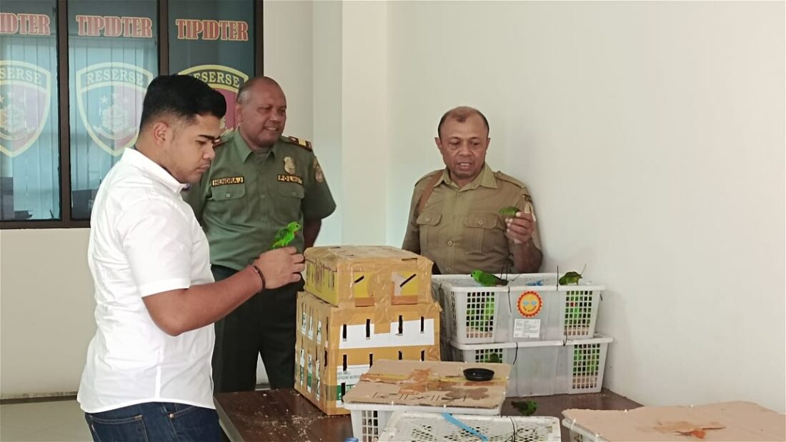 Polres Berau Gagalkan Penyelundupan Burung Liar yang Dilindungi Saat Operasi Narkoba