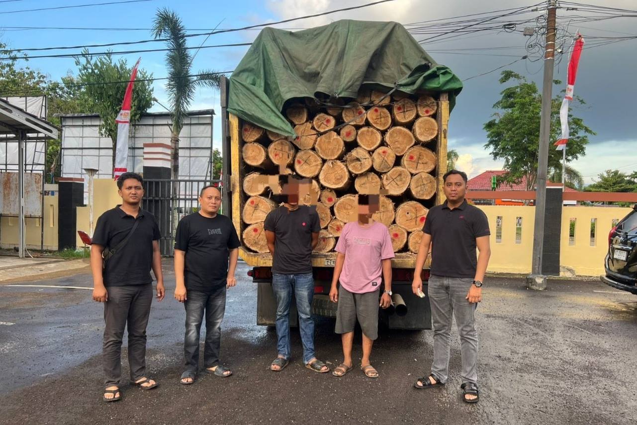 Polisi Gagalkan Penyelundupan Ratusan Batang Kayu, Diangkut Truk Plat Kalsel