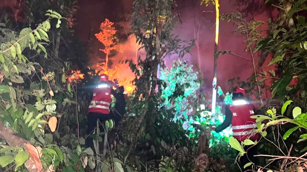 Balikpapan Catat 31 Kasus Kebakaran Lahan, Pepelingasih Desak Usut Sumber Api