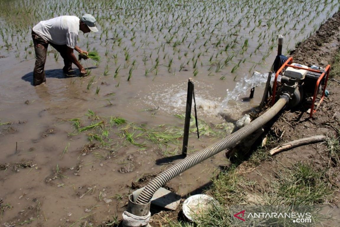 Desa di PPU Diminta Anggarkan Sumur Bor untuk Irigasi Sawah