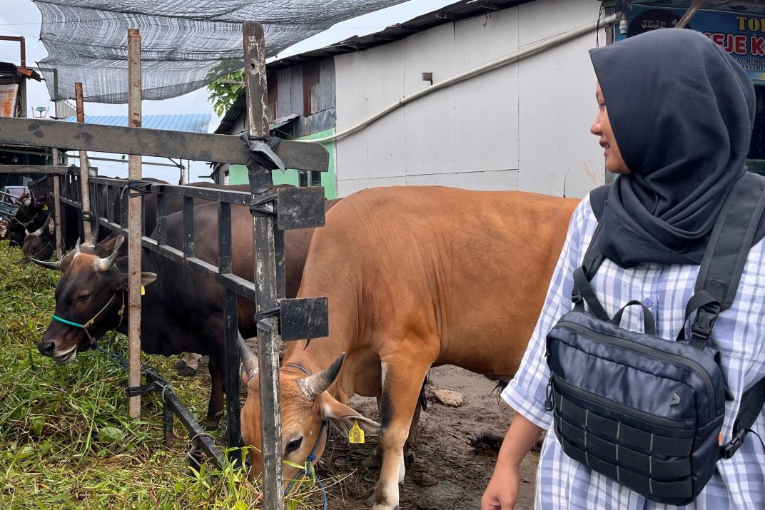  Pedagang Hewan Kurban Pangkas Stok 50 Persen, Terdampak Penurunan Daya Beli Warga Balikpapan