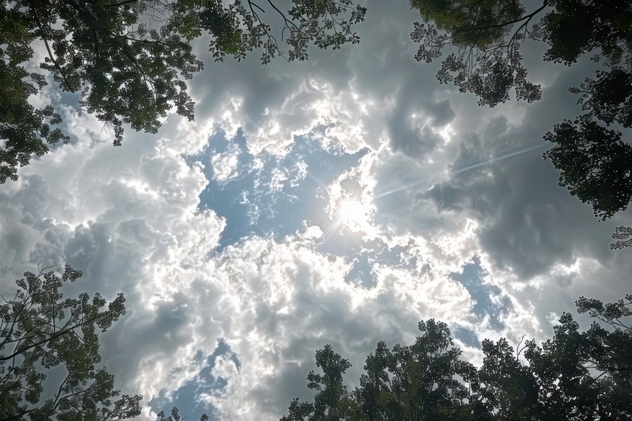 Ramalan Cuaca Kaltim dan IKN, 6 Januari 2026, Cek di Sini!