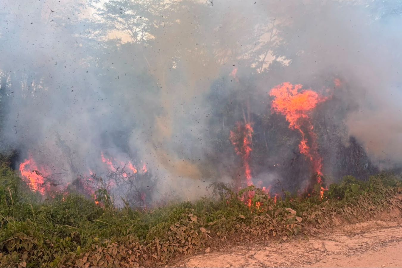 Api Membakar Lahan di Jalan Ulin Kutai Timur, Warga Khawatir Menjalar ke Workshop Alat Berat