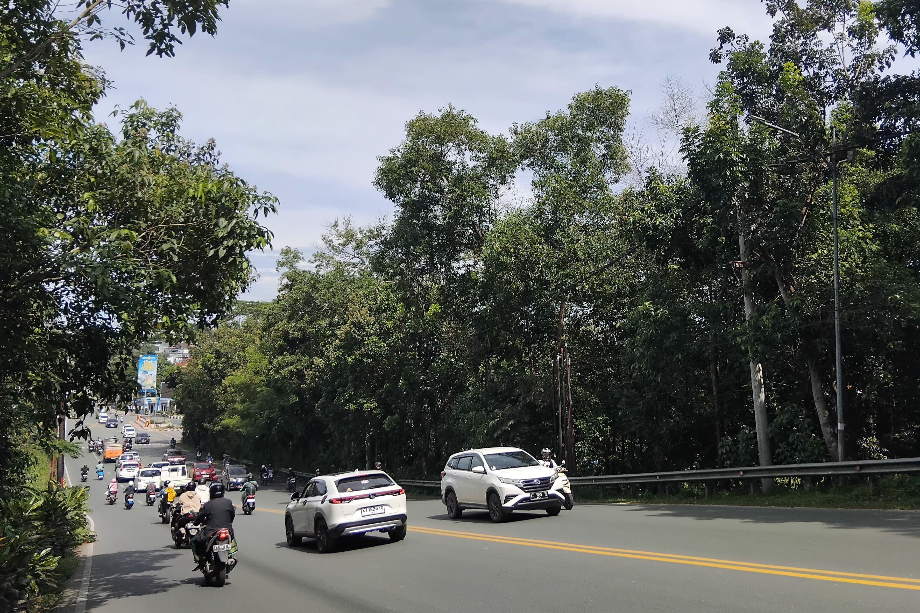 Ada yang Ajukan Izin Alih Status Hutan Kota, Pemkot Balikpapan akan Verifikasi