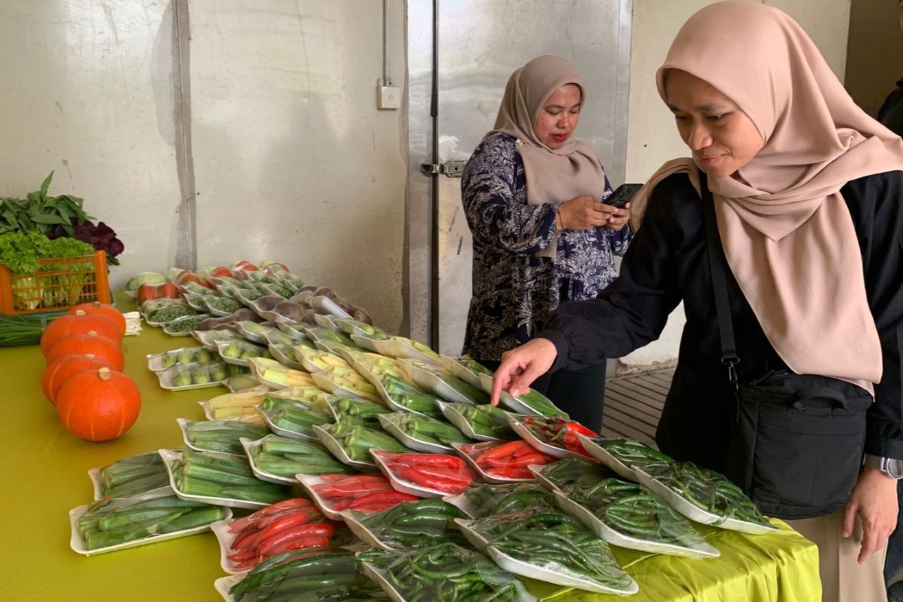 Aspakusa Makmur Boyolali, Pemasok Sayur Premium yang Juga Cetak Generasi Tani Baru