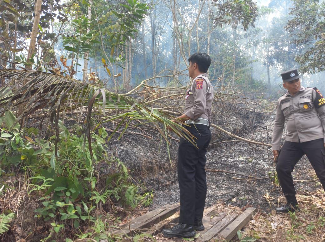 Kebakaran Lahan Hanguskan Kebun Kelapa di Balikpapan