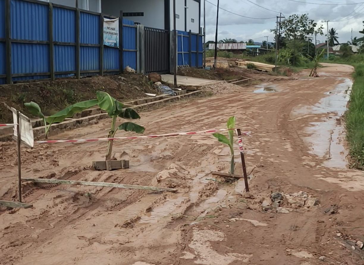 Warga Singa Geweh Tanam Pisang di Jalan, Kesal Dua Tahun Akses Rusak Tak Ditangani