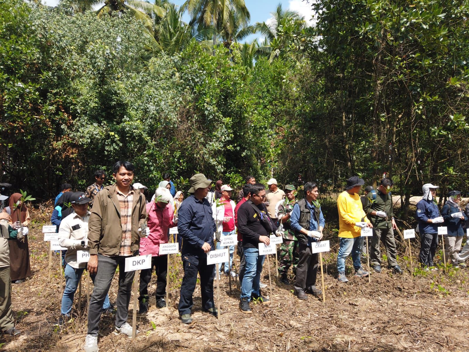 Jaga Ekosistem Mangrove Selamatkan Ekonomi Pesisir