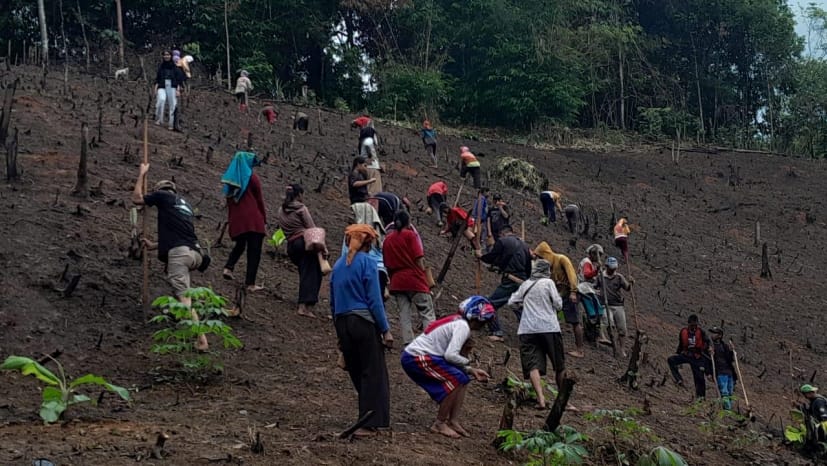 RUU Masyarakat Adat Mandek, Hak Konstitusional Komunitas Adat Terancam Tak Diakui