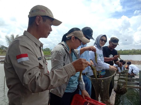 Pemkab Berau Siapkan Konsep Tambak Udang Windu Ramah Lingkungan di Pulau Derawan