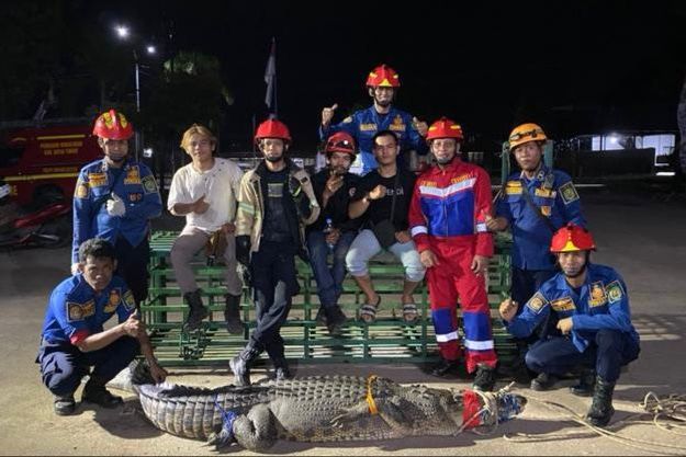 Buaya 2,5 Meter Naik ke Permukiman Warga Teluk Lingga Kutim