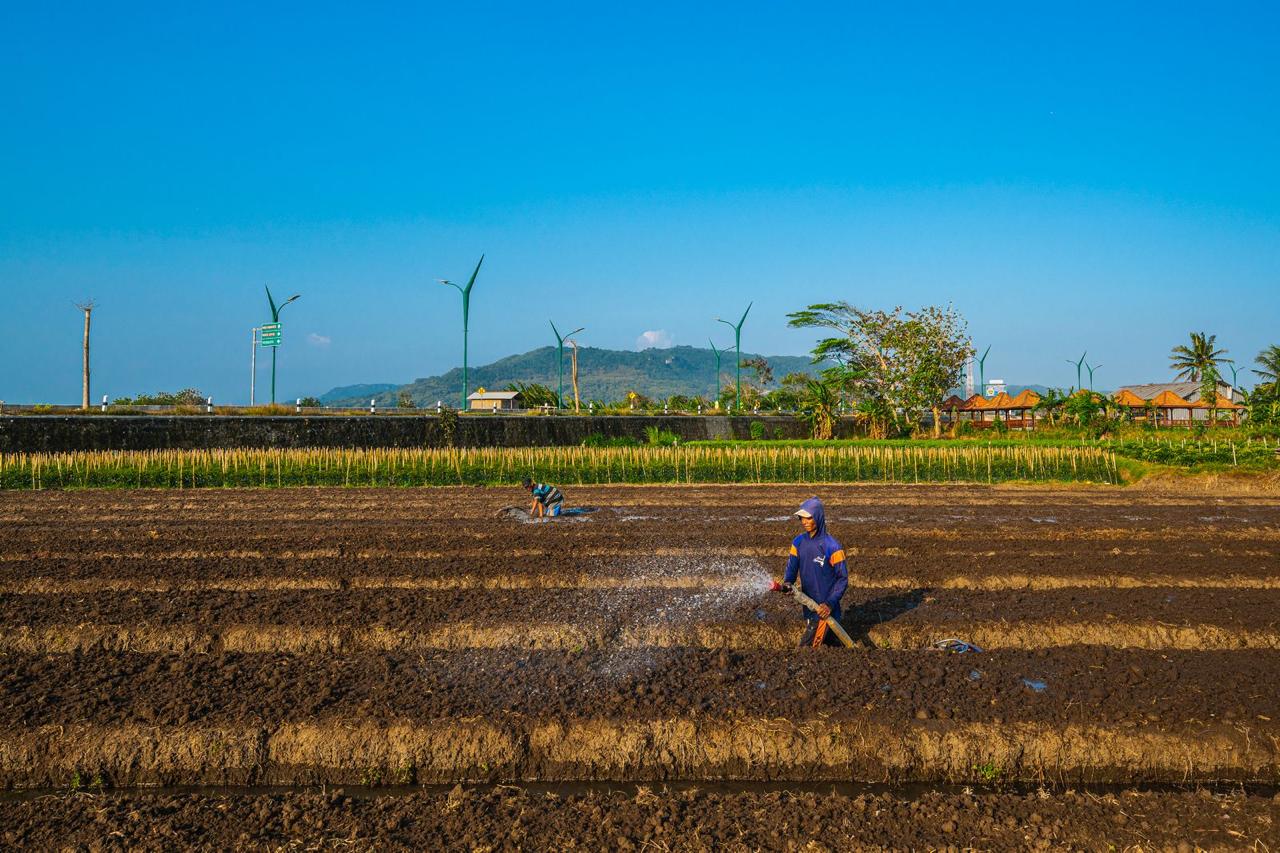 Hingga April 2025, BRI Salurkan KUR Sebesar Rp54,9 Triliun