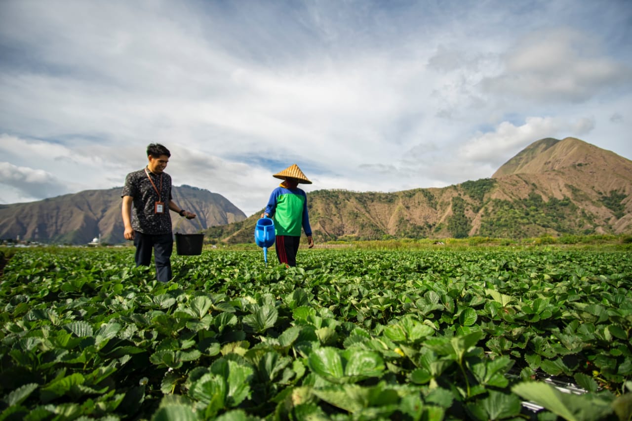 BRI Salurkan KUR Rp83,38 T pada Triwulan II 2025, 63 % Diserap Sektor Pertanian dan Industri Pengolahan