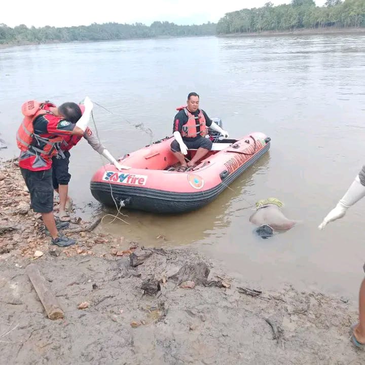 Empat Korban Kapal Tenggelam di Sungai Mahakam Berhasil Dievakuasi 