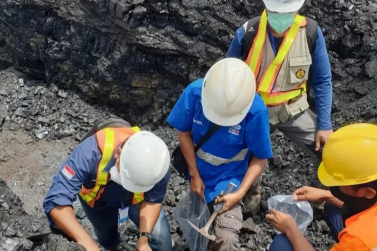 PHK di Kaltim Bukan karena Kenaikan Upah, Selama 2025 Tercatat 3.487 Orang Berhenti Kerja