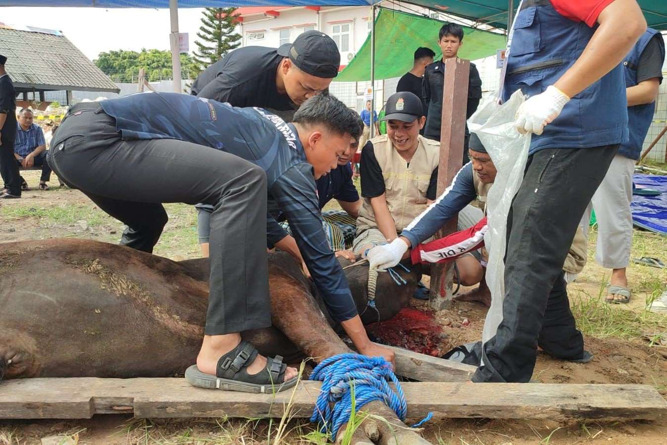 Lapas Balikpapan Sembelih 7 Sapi Kurban, Masyarakat Sekitar Kebagian