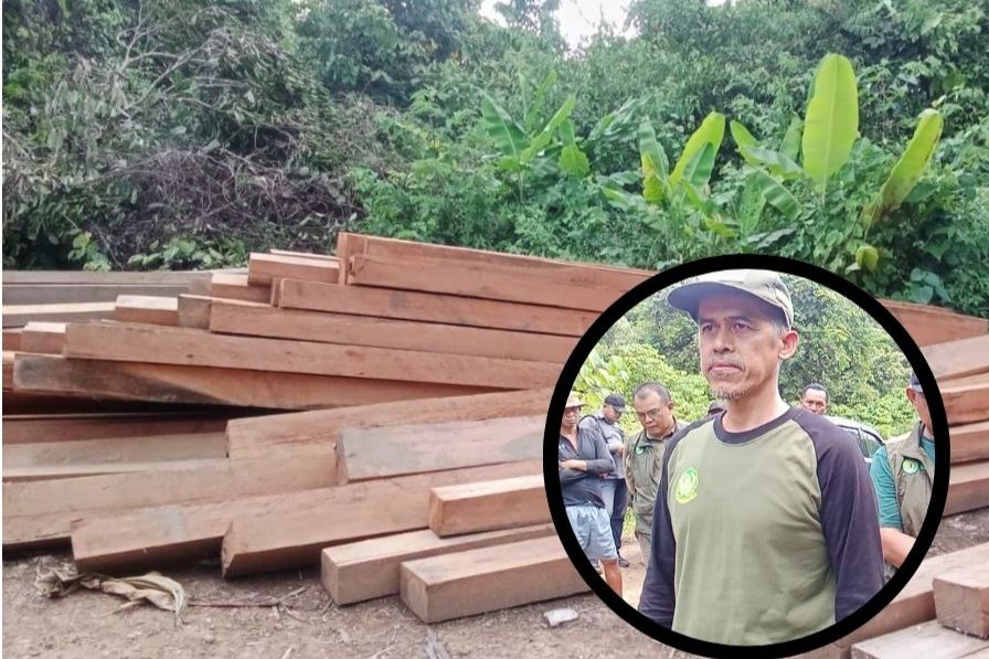 Anggaran Nihil, Barang Bukti Kayu Illegal Logging di Kutai Barat Sulit Diamankan