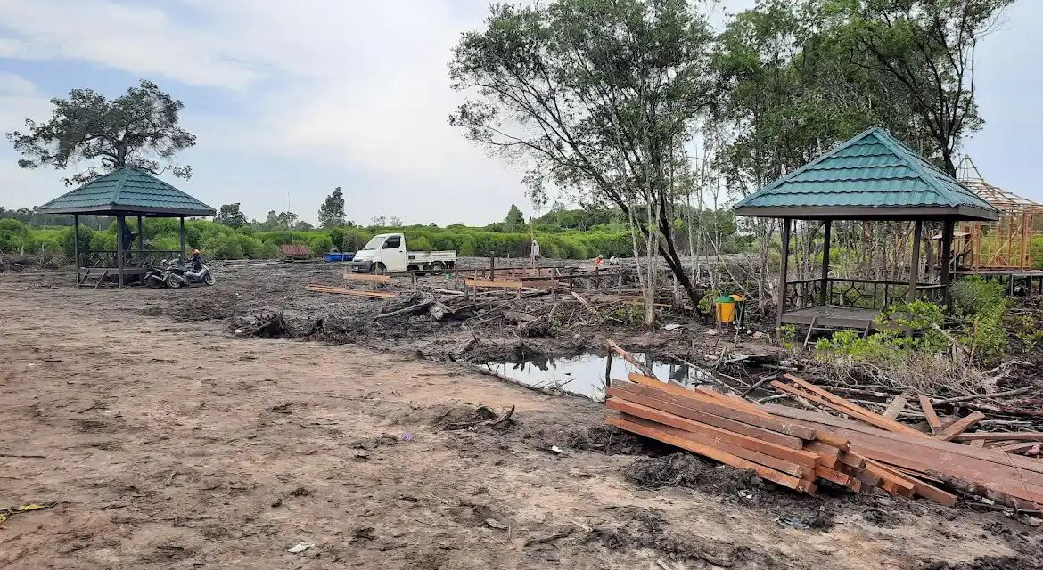 Mangrove Kutim Jadi Korban Alih Fungsi, Pemkab Terganjal Kewenangan untuk Menindak