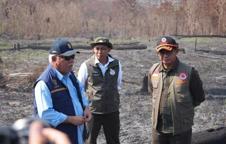 Karhutla Ancam Kawasan IKN, Tiga Perusahaan Pemegang Izin Ditindak