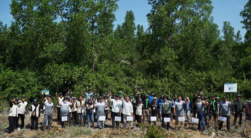 Pentingnya Ekosistem Mangrove, PT Berau Coal Bersama Mitra Lakukan Aksi Nyata Rawat Kawasan Pesisir