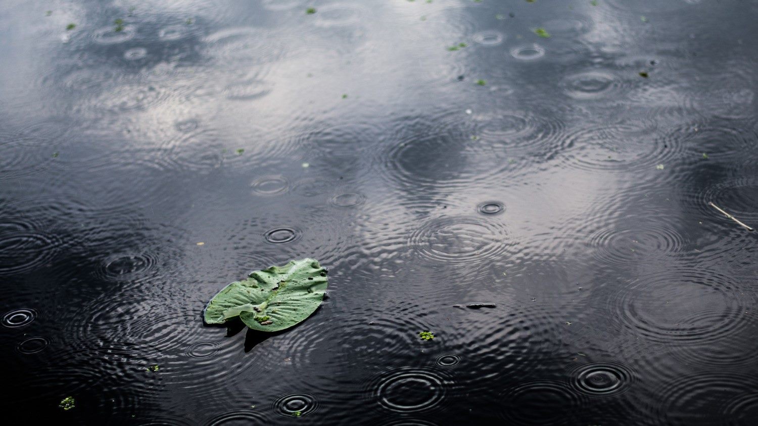 Ramalan Cuaca Kaltim dan IKN, 13 Maret 2026, Cek di Sini!