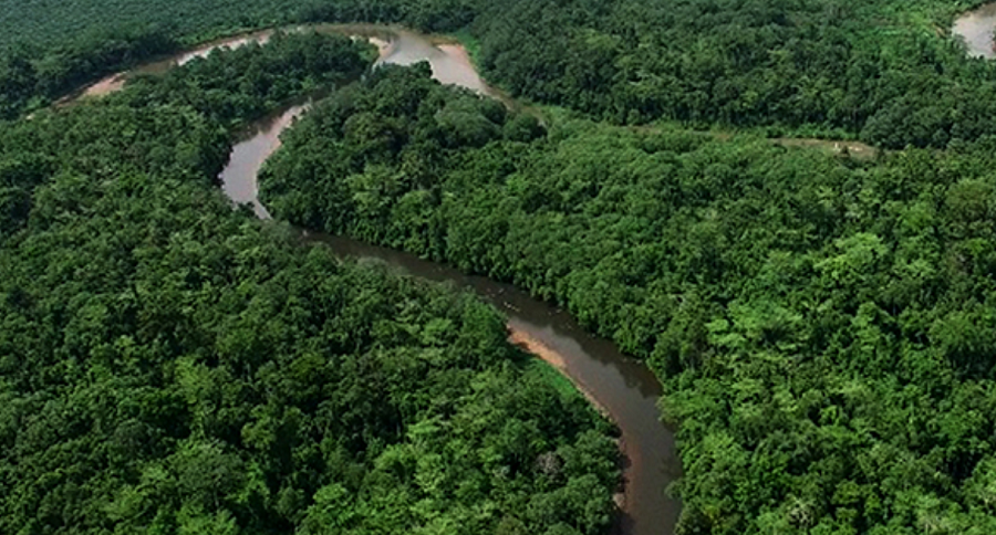 Meski Banyak Lahan Tambang, Hutan Kaltim Diklaim Tak Gersang