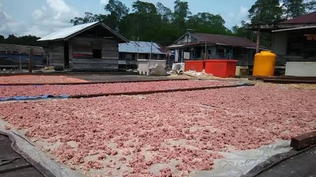 Kampung Buyung-Buyung Disiapkan Jadi Sentra Terasi Berau