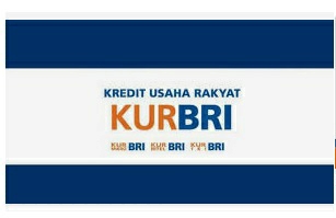 Tertarik Ajukan KUR di Bank BRI? Simak Panduannya Agar Pinjaman Bisa Cair