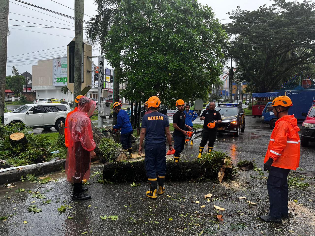 Akibat Hujan Deras di Balikpapan, Sebuah Mobil Tertimpa Pohon  