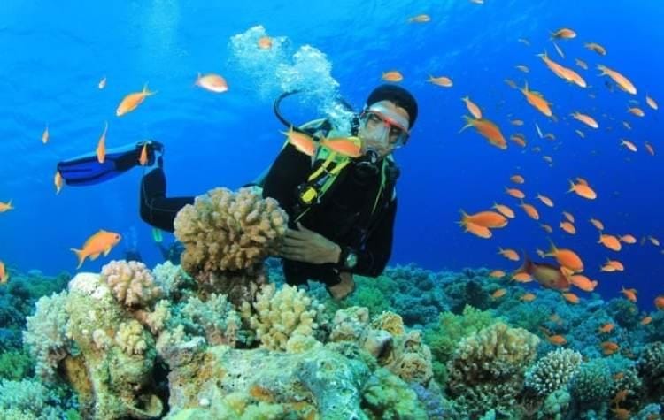 Pokdarwis Sumping Nusa Pulau Derawan Jadi Role Model Pariwisata, Siapkan Paket Wisata hingga Bina 125 UMKM