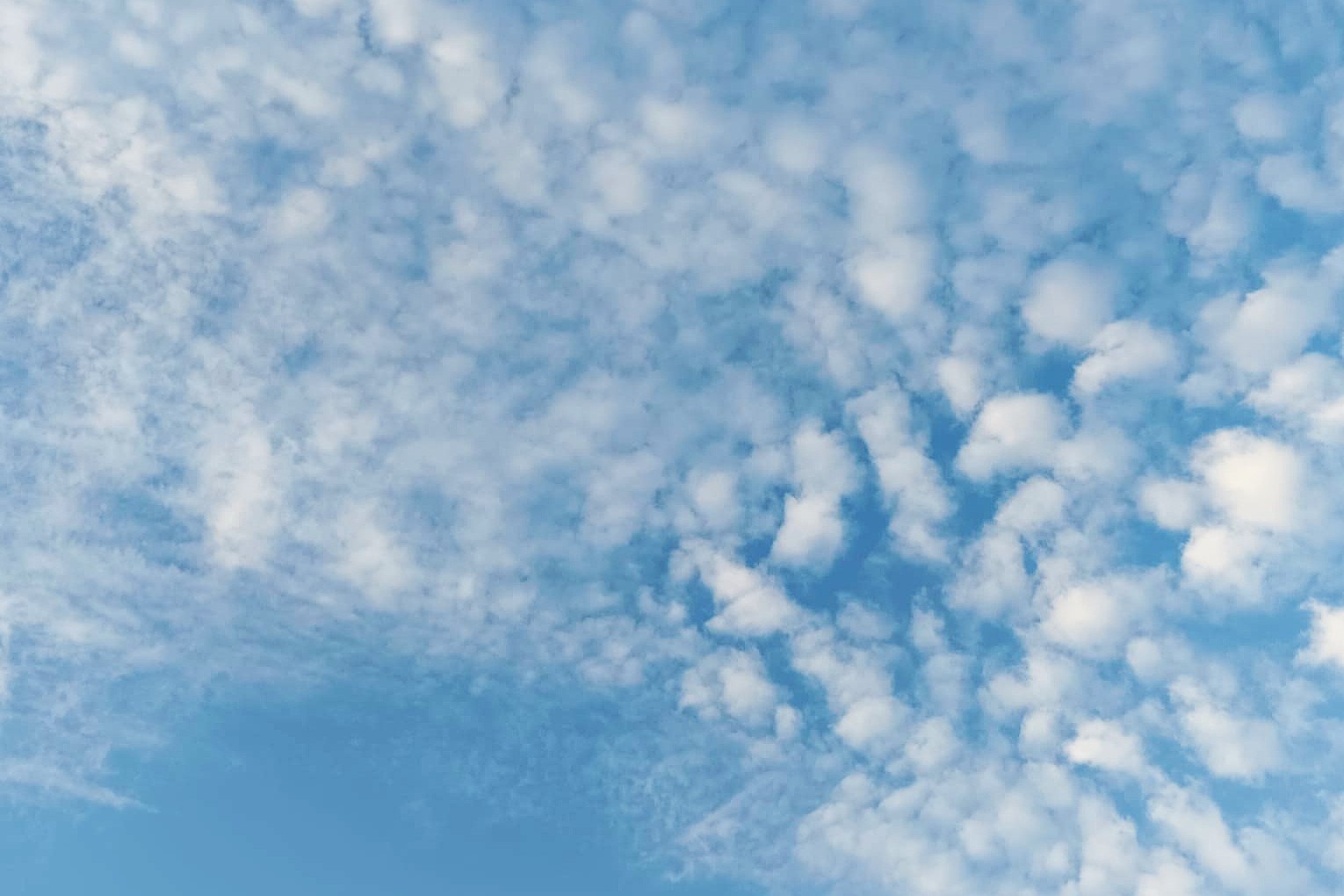 Ramalan Cuaca Kaltim dan IKN, 9 Oktober 2025, Cek di Sini!