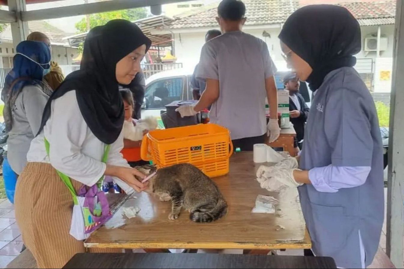 Kaltim Kejar Target Bebas Rabies 2030 lewat Vaksinasi Massal dan Kastrasi