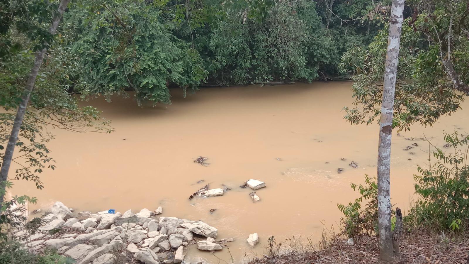 Masyarakat Tiga Desa di Batu Sopang Keluhkan Sungai Keruh, Tambang Emas Ilegal Diduga Jadi Penyebab 
