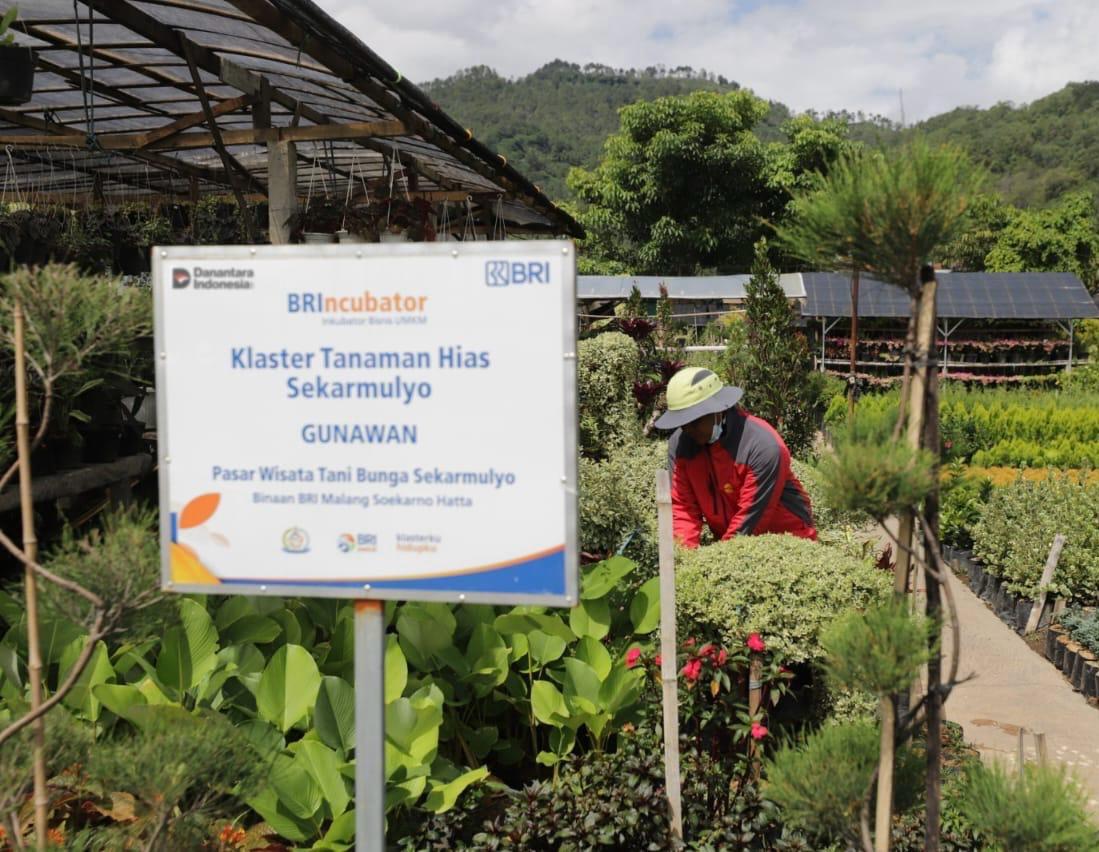 BRI Sudah Berdayakan 41 ribu Klaster Usaha melalui Pembiayaan dan Literasi Keuangan
