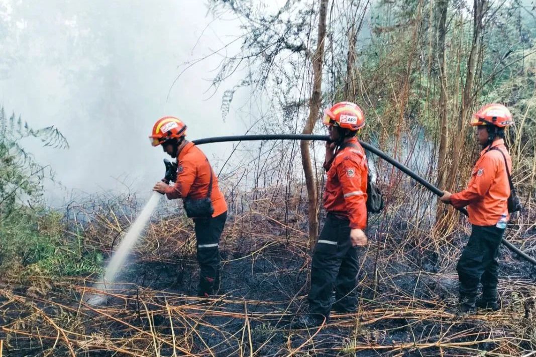 Titik Panas Melonjak, BPBD Kaltim Minta Warga Tak Bakar Lahan