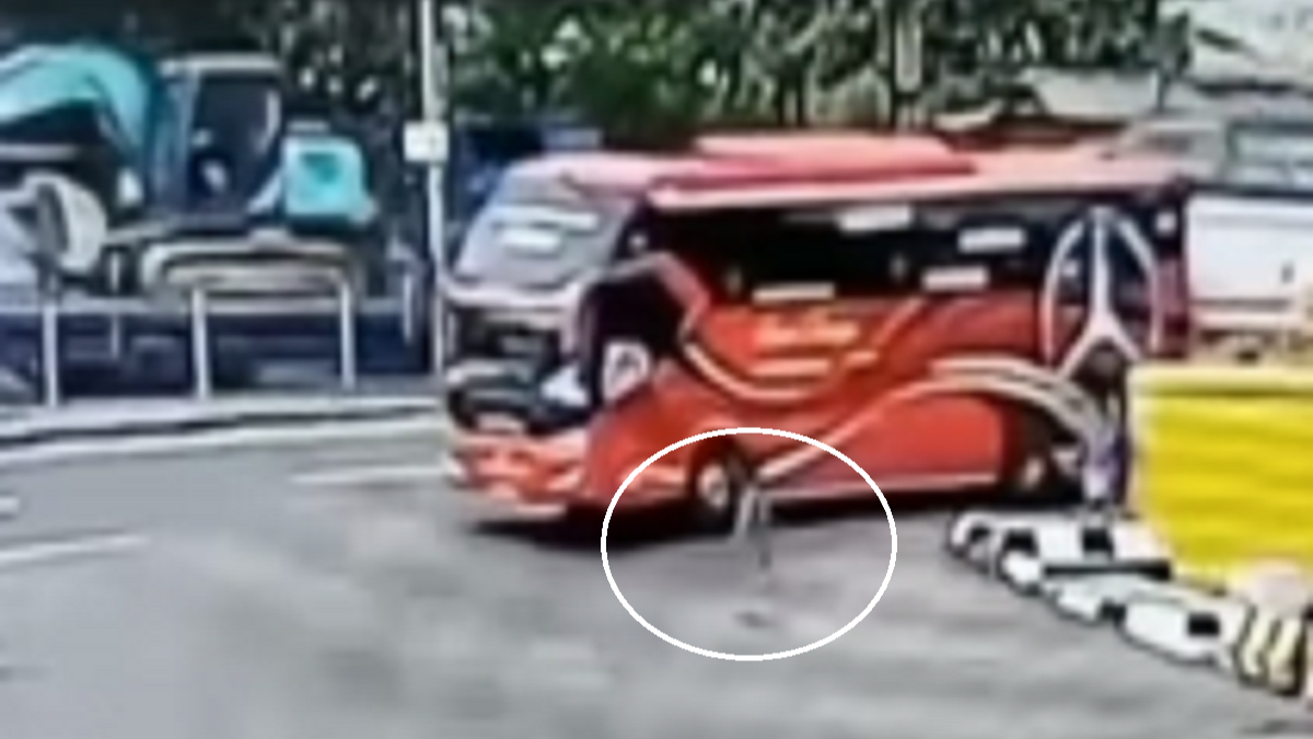 Nahas! Bocah 5 Tahun Terlindas Bus saat Berburu Klakson Telolet di Pelabuhan Merak  