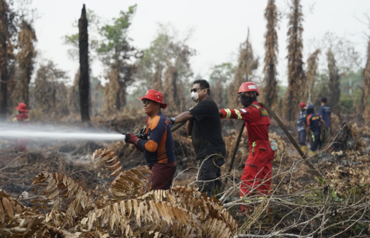 PT Berau Coal Perkuat Penanganan Karhutla di Berau, ERG Terjun Bersama Tim Gabungan