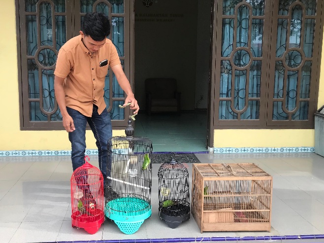 Selundupkan Burung di Celana Dalam, Pria di Berau Ini Diringkus di Bandara