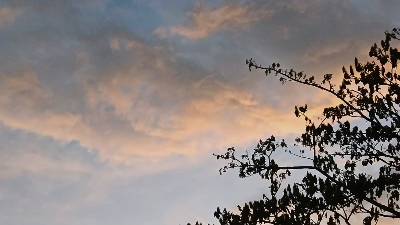 Ramalan Cuaca Kaltim, 8 Mei 2025, Cek di Sini!