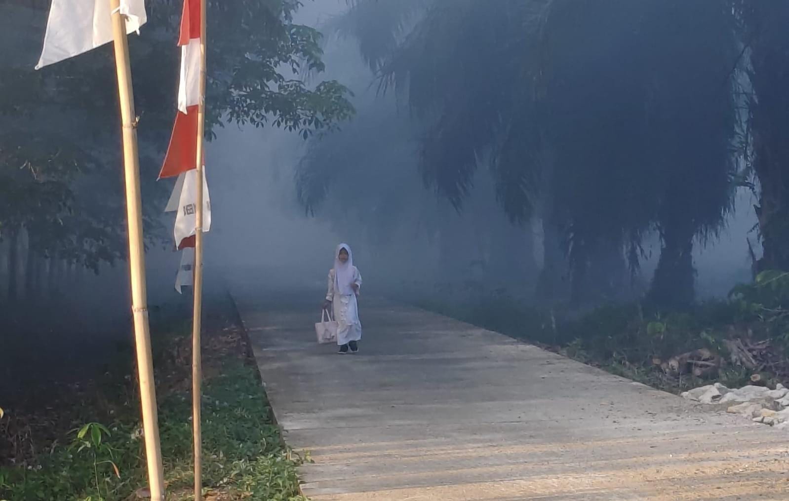 Indeks Pencmaran Udara di Paser Masuk Level Tidak Sehat, Warga Diminta Kurangi Aktivitas di Luar Ruangan
