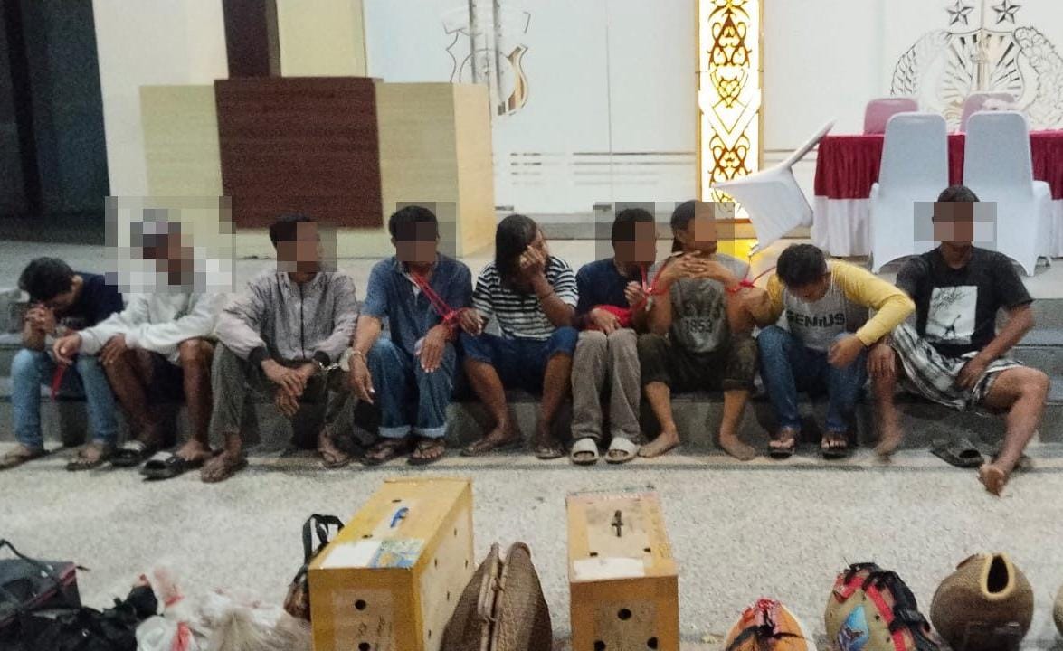 Arena Judi Sabung Ayam di Balikpapan Digerebek, Polisi Sita 18 Ayam Jago