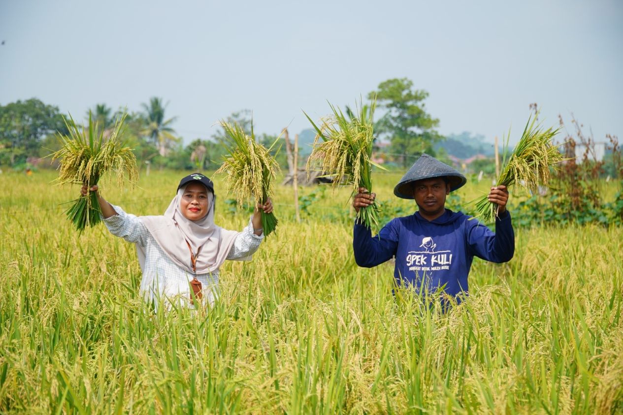 Dari 13 Jadi 25 Karung Padi, Petani Tasuk Rasakan Manfaat Program Berau Coal