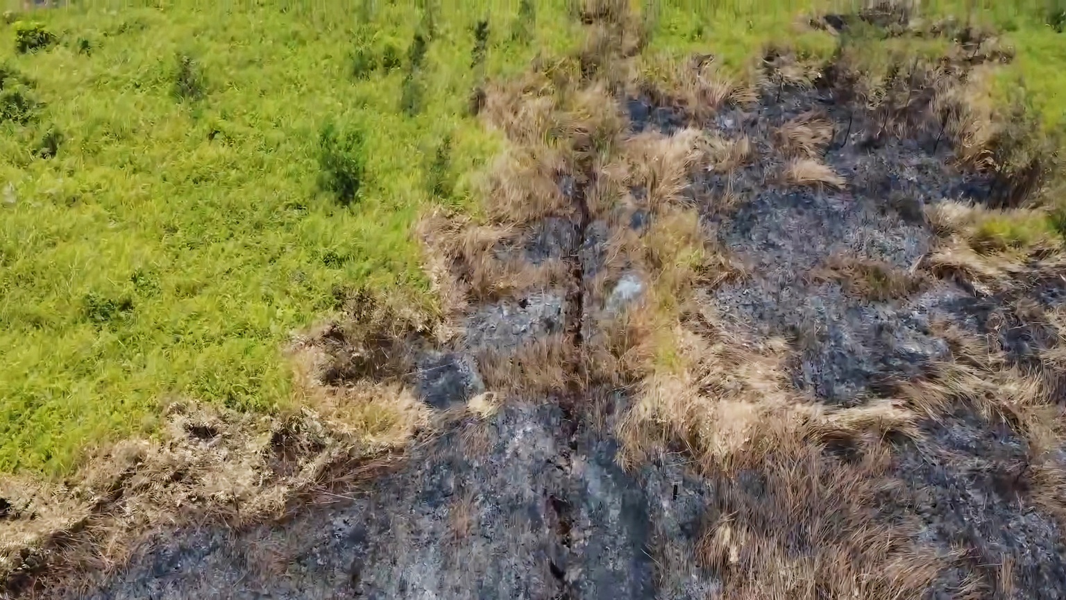 BPBD Paser Catat 191 Kejadian Karhutla hingga Agustus, Luas Lahan Terbakar Tembus 538 Hektare 