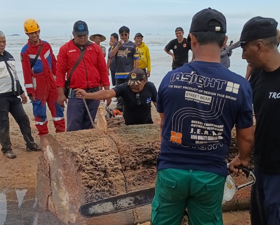 Kayu Raksasa Terseret Gelombang Hingga Pesisir Balikpapan, Warga Khawatir Merusak Permukiman